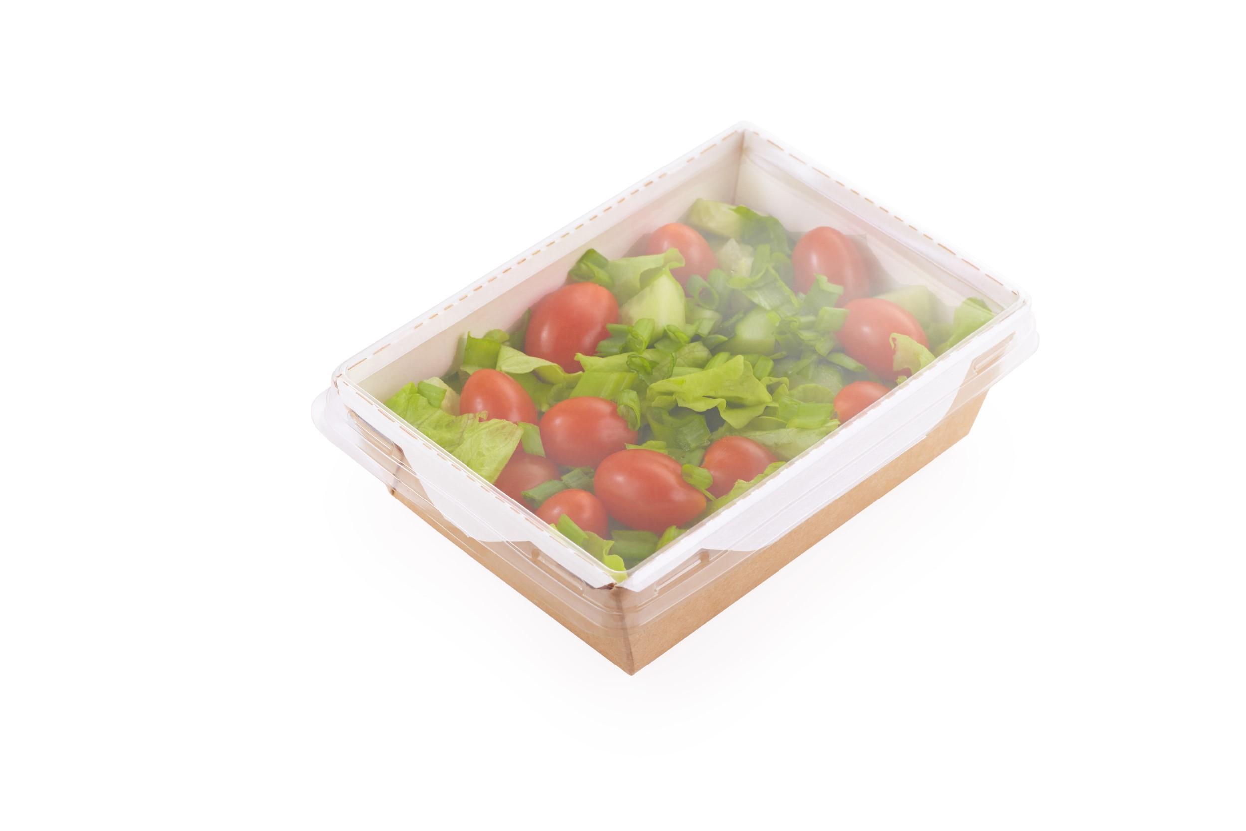 Контейнер OSQ OPSALAD 1000 мл, 222х162х55 мм